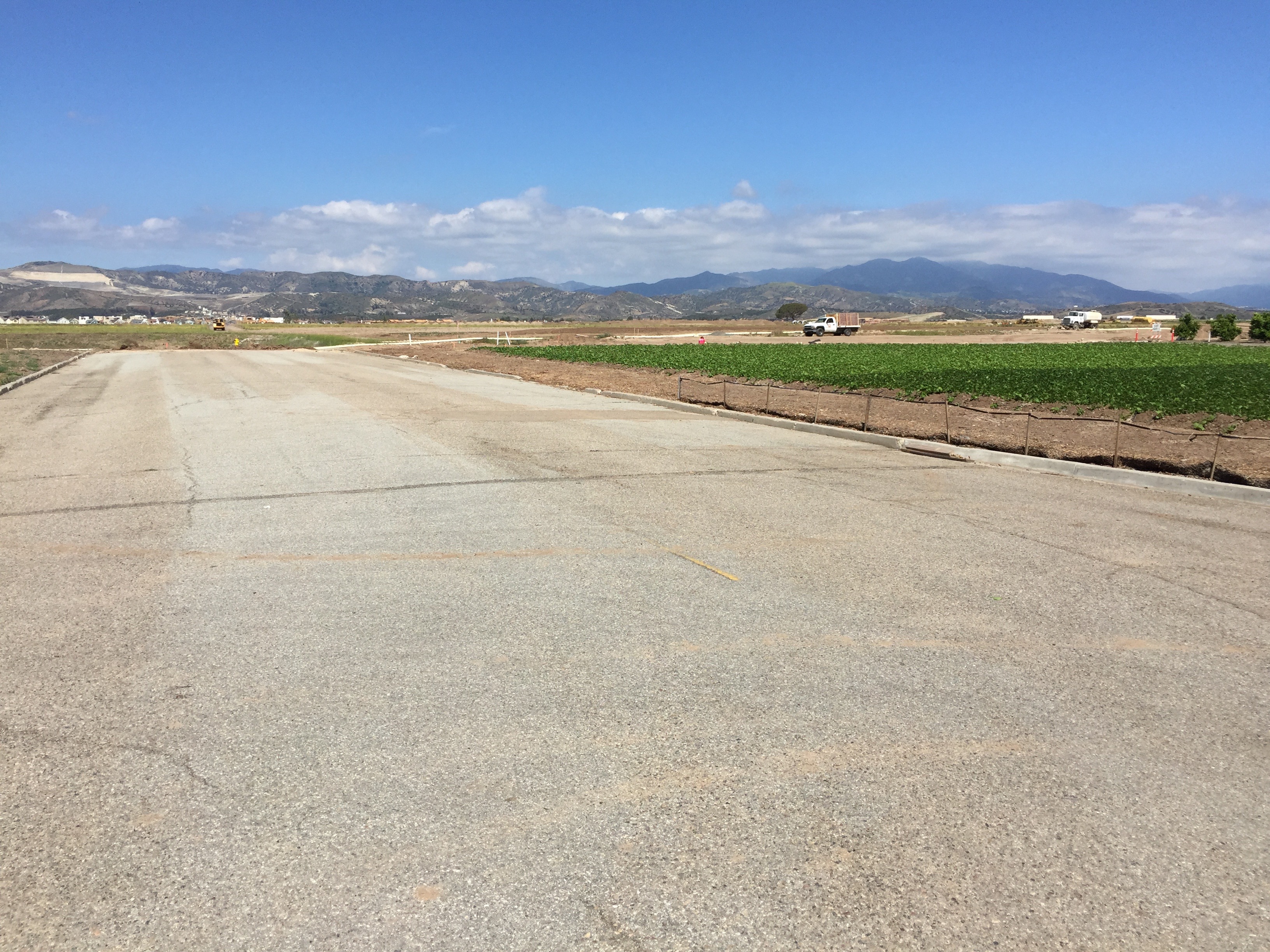 Strawberries and runway.jpg