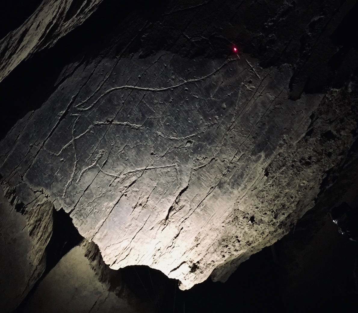 Ibex engraving detail